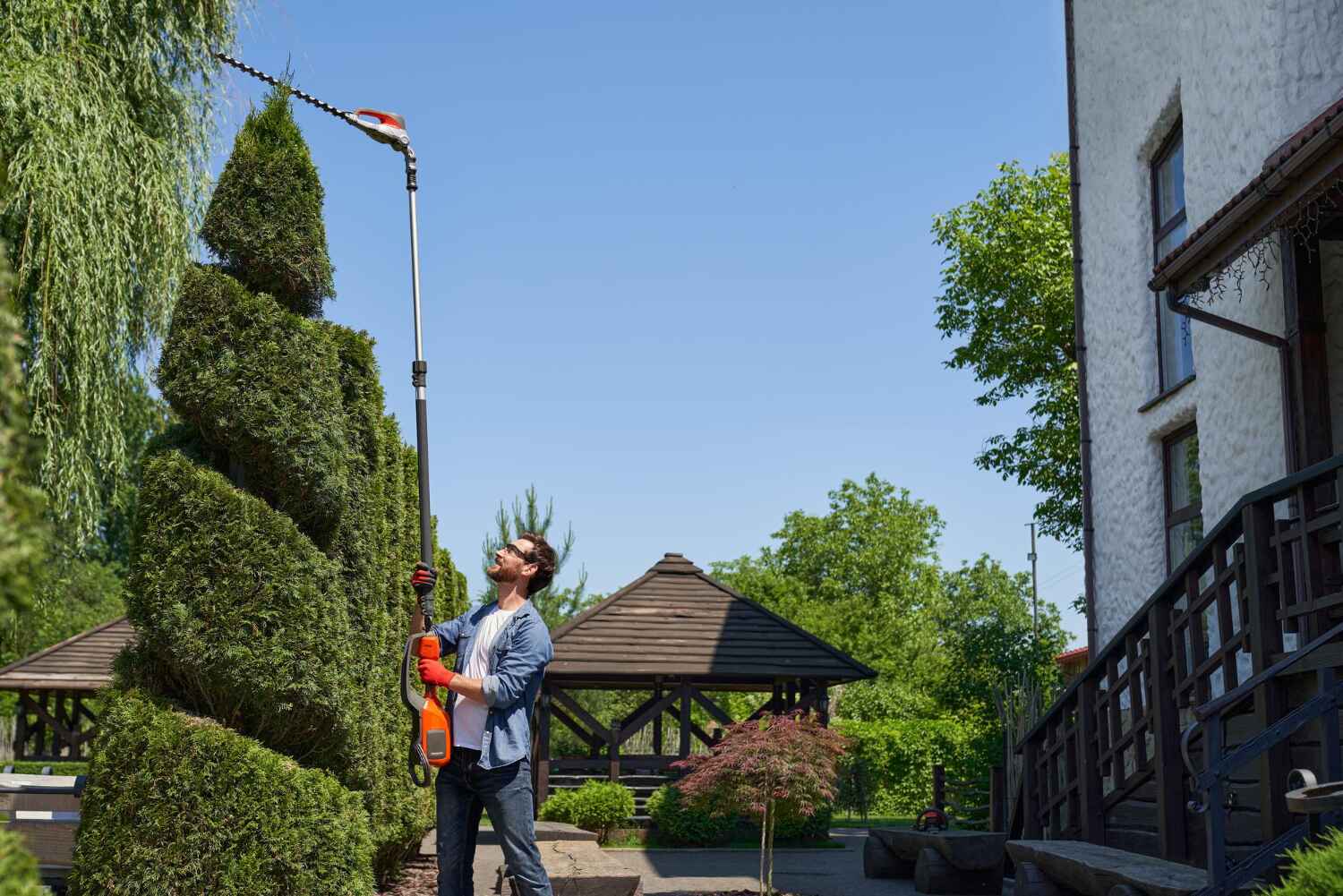 Professional Tree Service in South Highpoint, FL